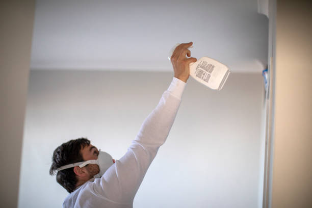 Best Mold Removal Near Me  in Salem, IN