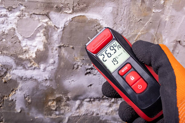Certified Mold Removal in Salem, IN