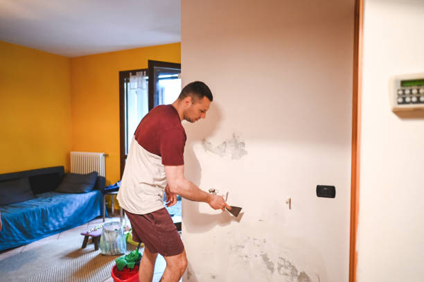 Best Same-Day Mold Removal  in Salem, IN