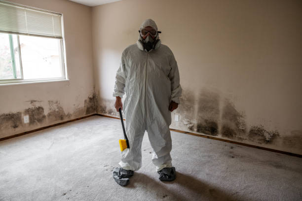 Best Emergency Mold Removal  in Salem, IN